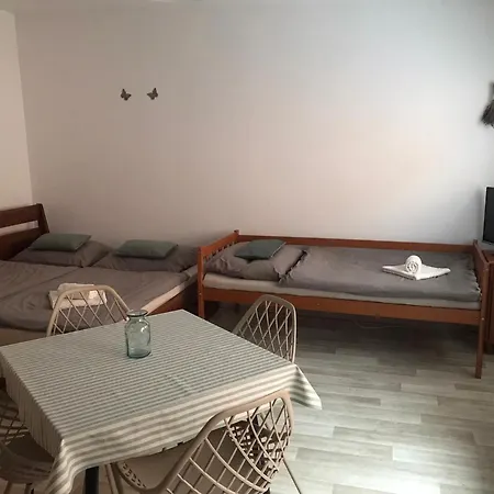 U منزل للإقامة تشيسكي بوديوفيتسه